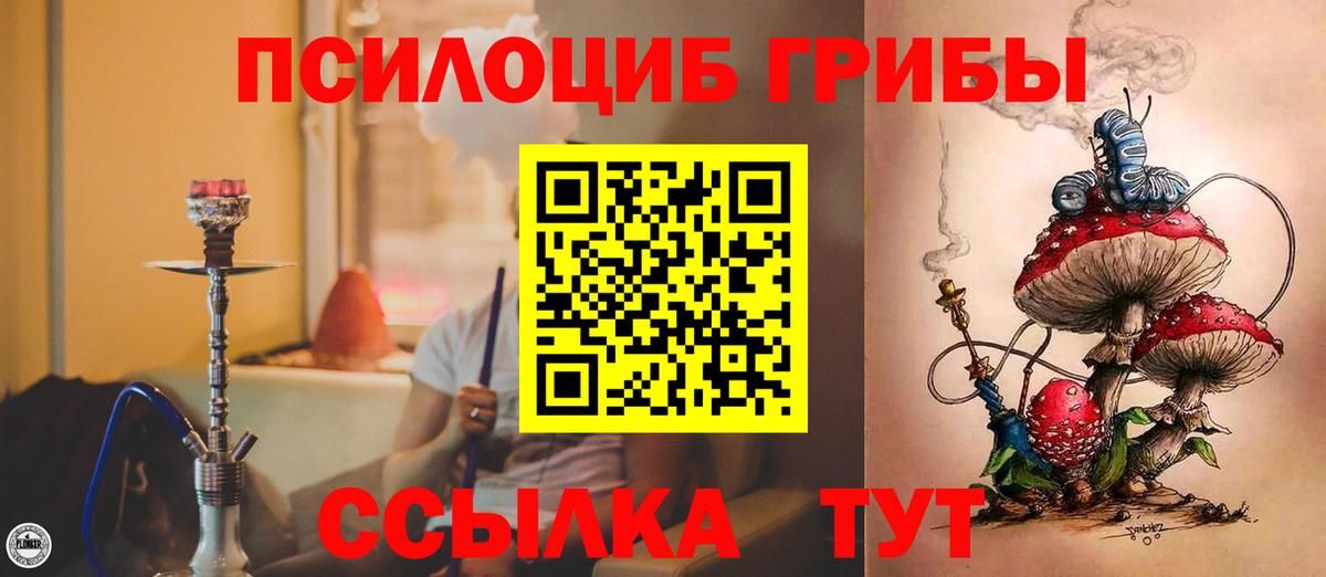 Калач-на-Дону  Галлюциногенные грибы MAGIC MUSHROOMS  Вход с VPN 