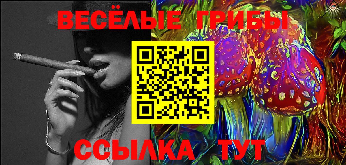Галлюциногенные грибы Psilocybe Калач-на-Дону